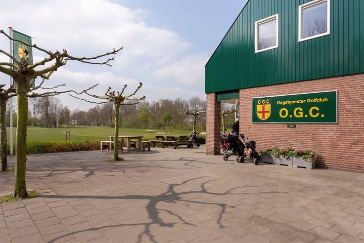 Bekijk foto 35 van Rhijngeesterstraatweg 197