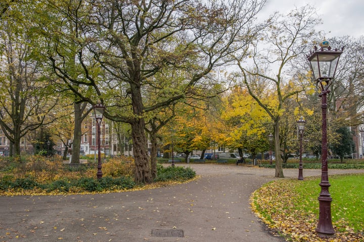 Bekijk foto 28 van Nieuwe Looiersstraat 96-1