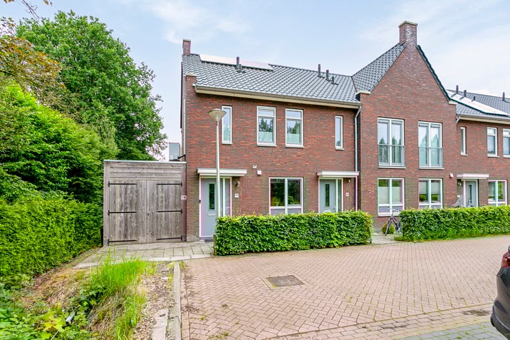 undefined main image