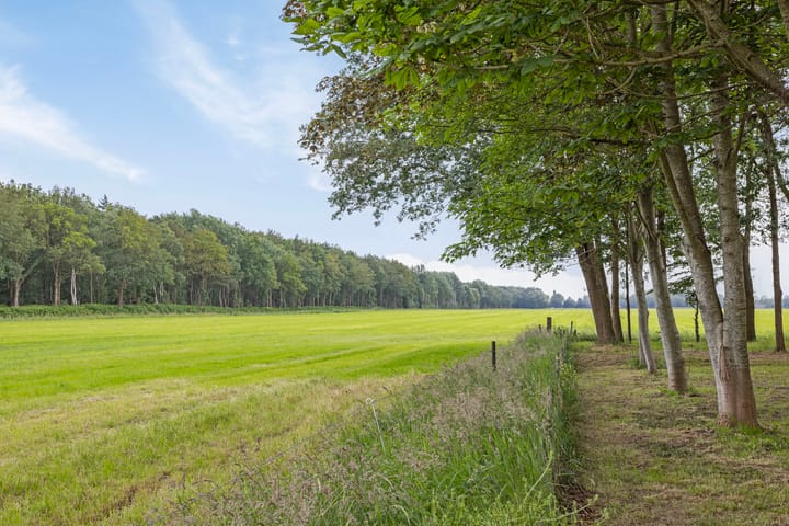 Photo 4 of Duikersloot 4