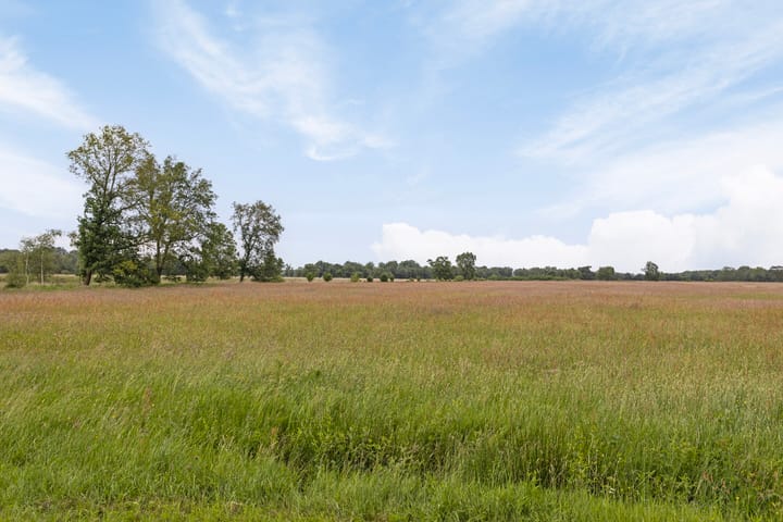 Photo 5 of Duikersloot 4