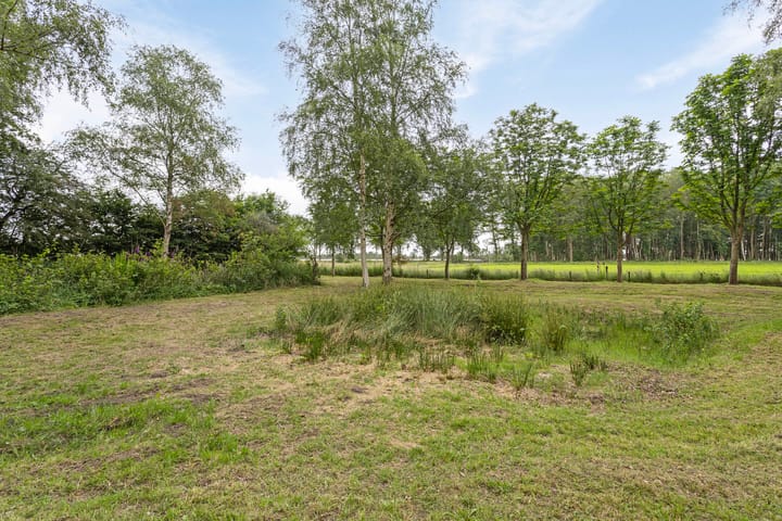 Photo 25 of Duikersloot 4