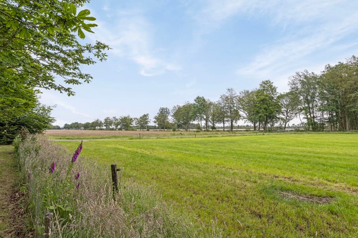 Photo 26 of Duikersloot 4