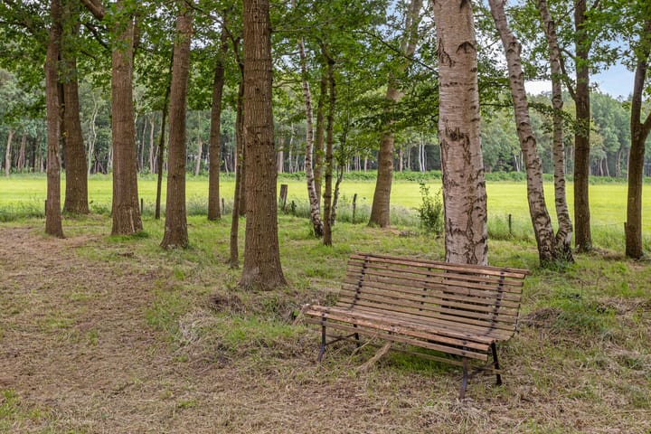 Photo 29 of Duikersloot 4