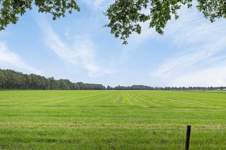 Photo 30 of Duikersloot 4