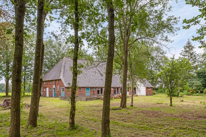 Photo 31 of Duikersloot 4