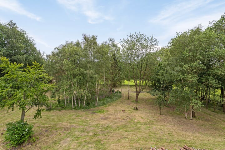 Photo 32 of Duikersloot 4