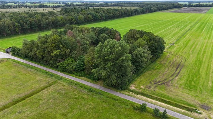 Photo 44 of Duikersloot 4