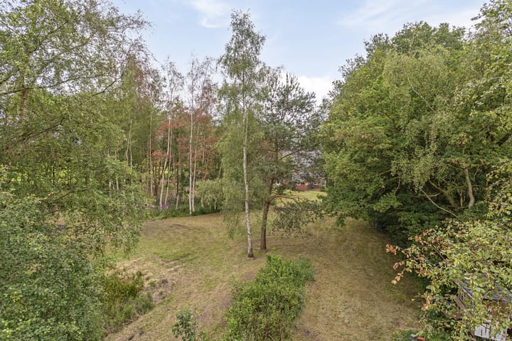 Photo 28 of Duikersloot 4