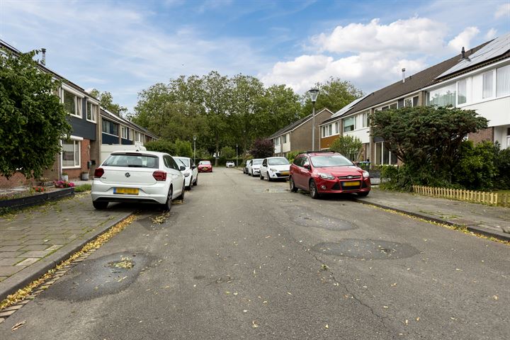 Bekijk foto 48 van Octave van Rijsselberghestraat 24