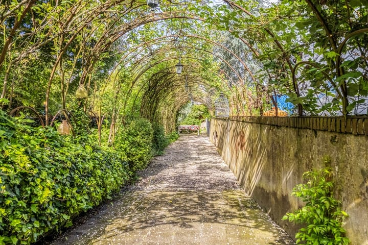 Photo 52 of Markt 16