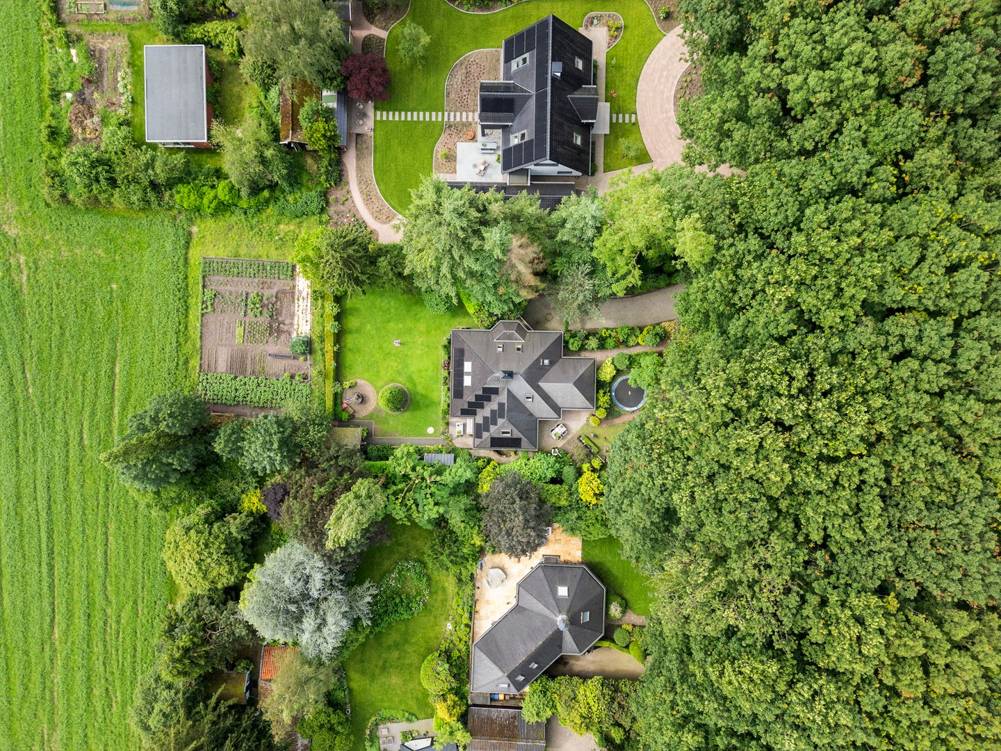 Foto 5 van Reigerlaan 3