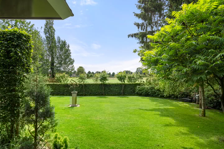 Foto 42 van Reigerlaan 3