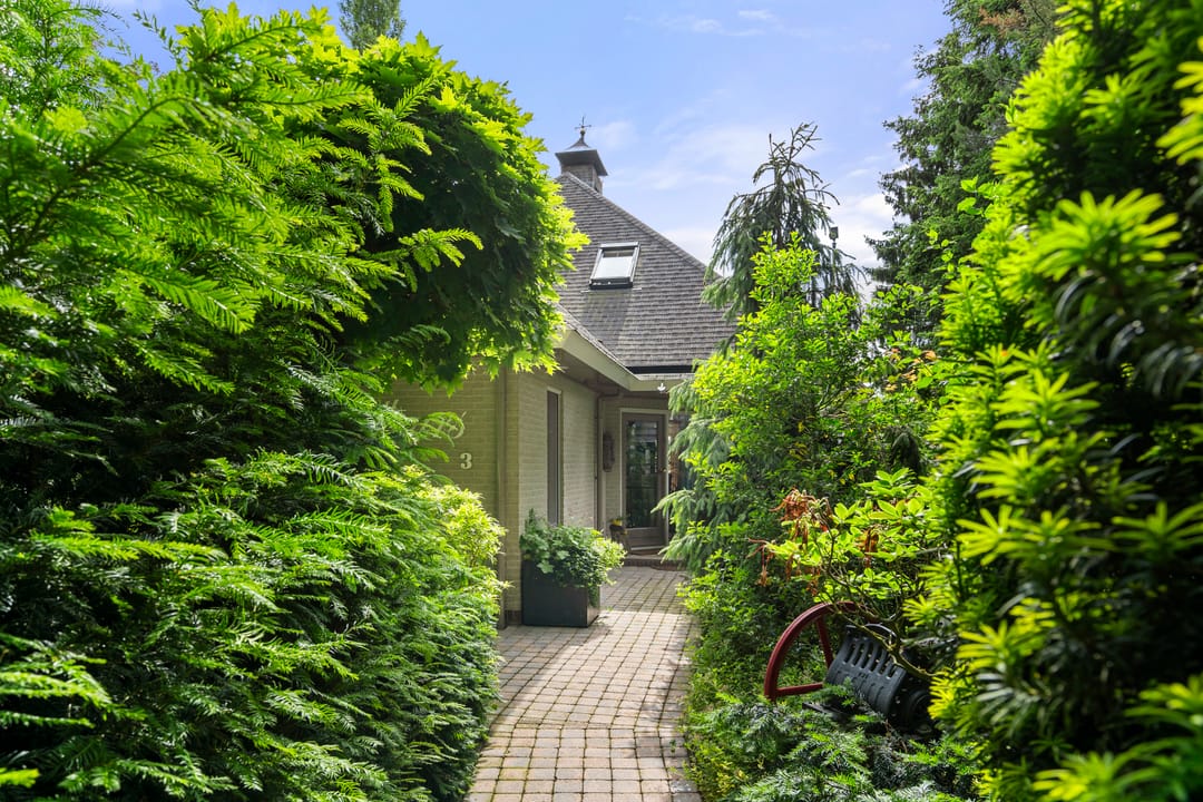 Foto 43 van Reigerlaan 3