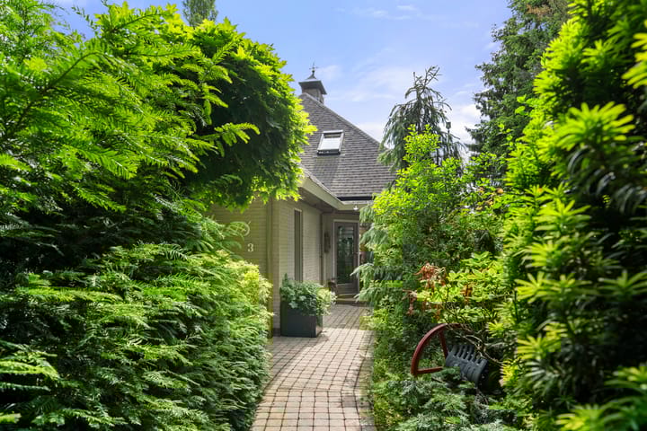 Foto 43 van Reigerlaan 3