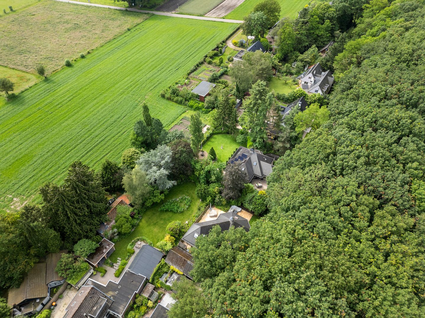 Foto 49 van Reigerlaan 3