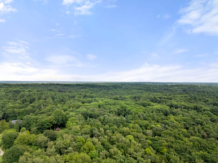 Foto 52 van Reigerlaan 3