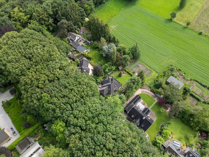 Foto 51 van Reigerlaan 3