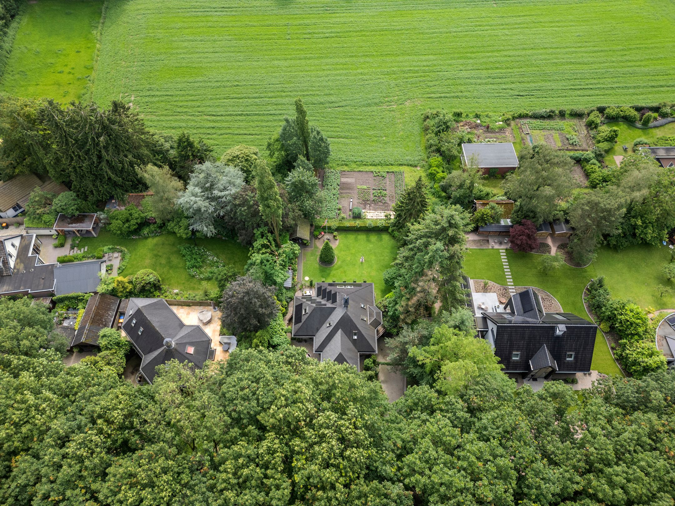 Foto 54 van Reigerlaan 3