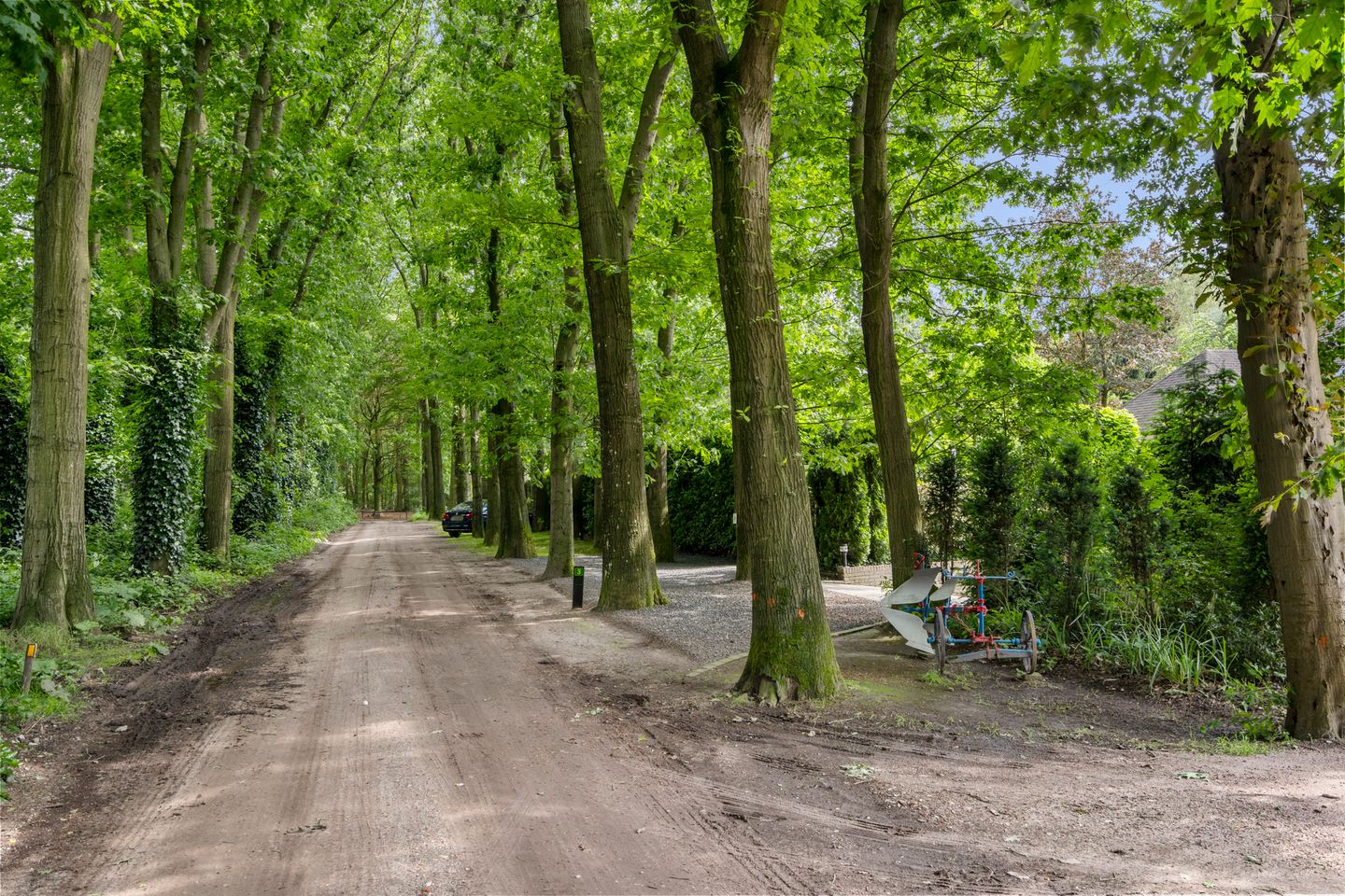 Foto 55 van Reigerlaan 3