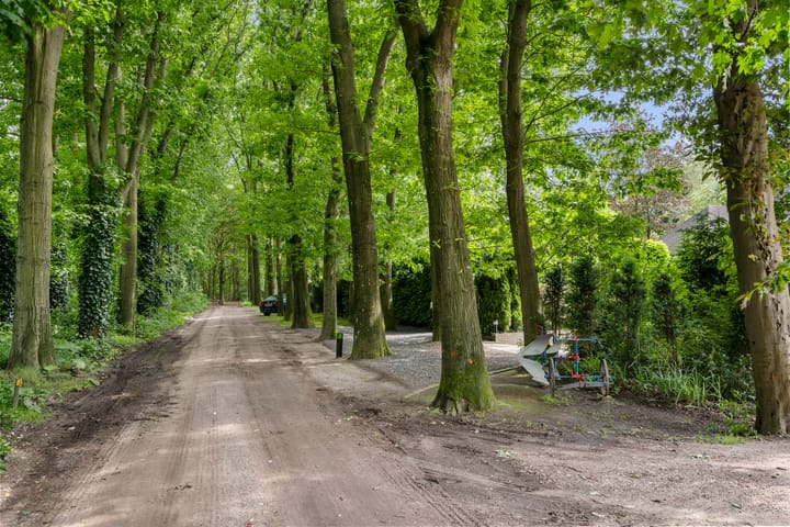 Foto 55 van Reigerlaan 3