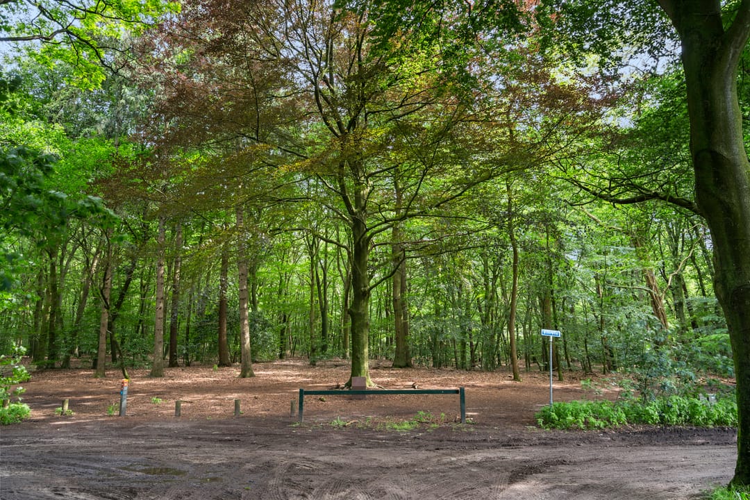 Foto 56 van Reigerlaan 3