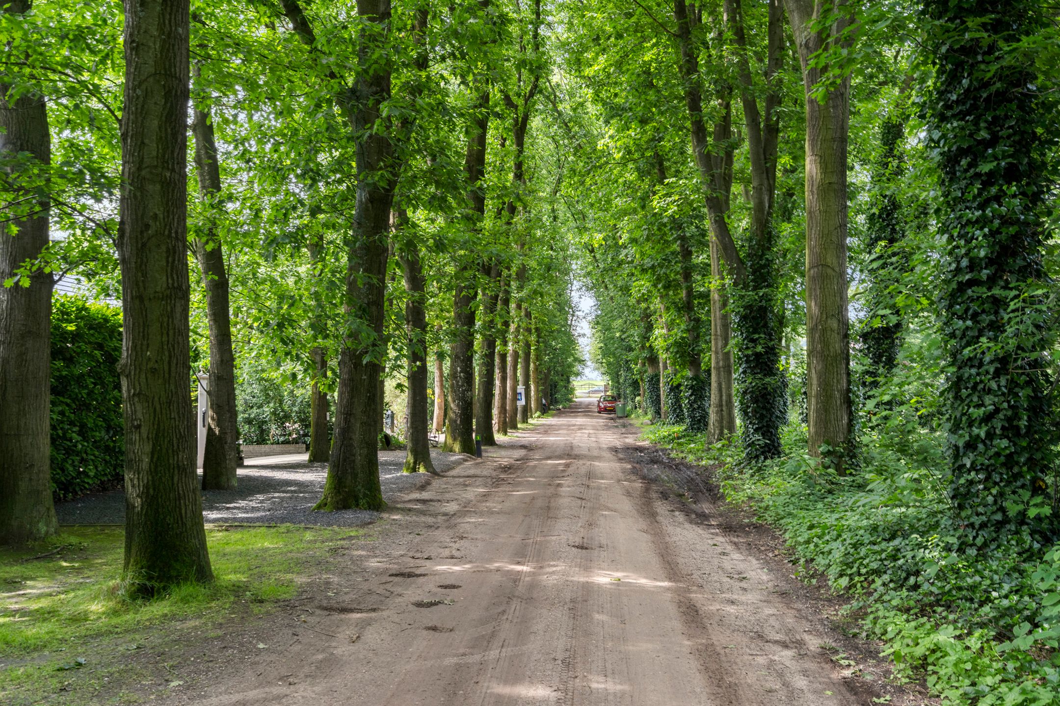 Foto 57 van Reigerlaan 3