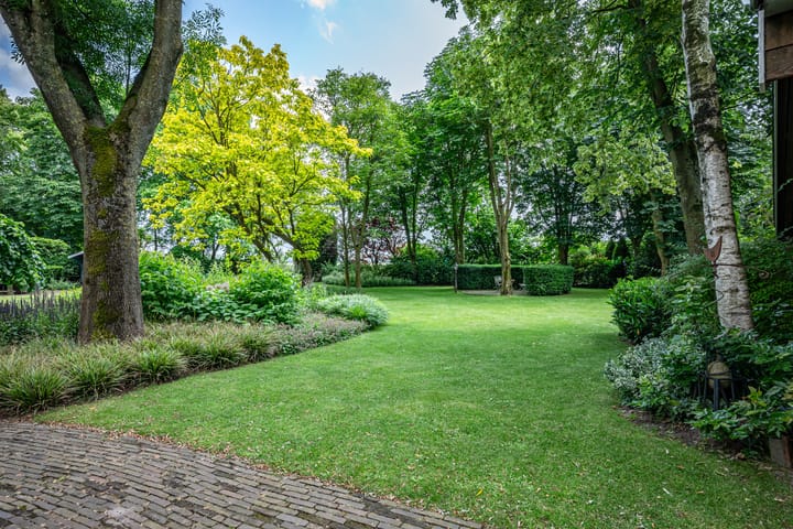 Foto 9 van Muidenstraat 32