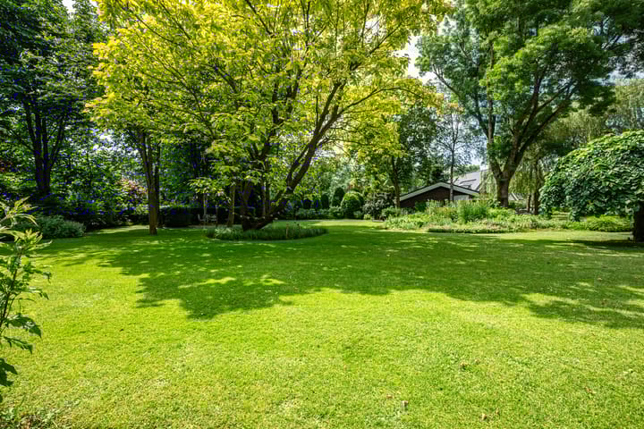 Foto 22 van Muidenstraat 32