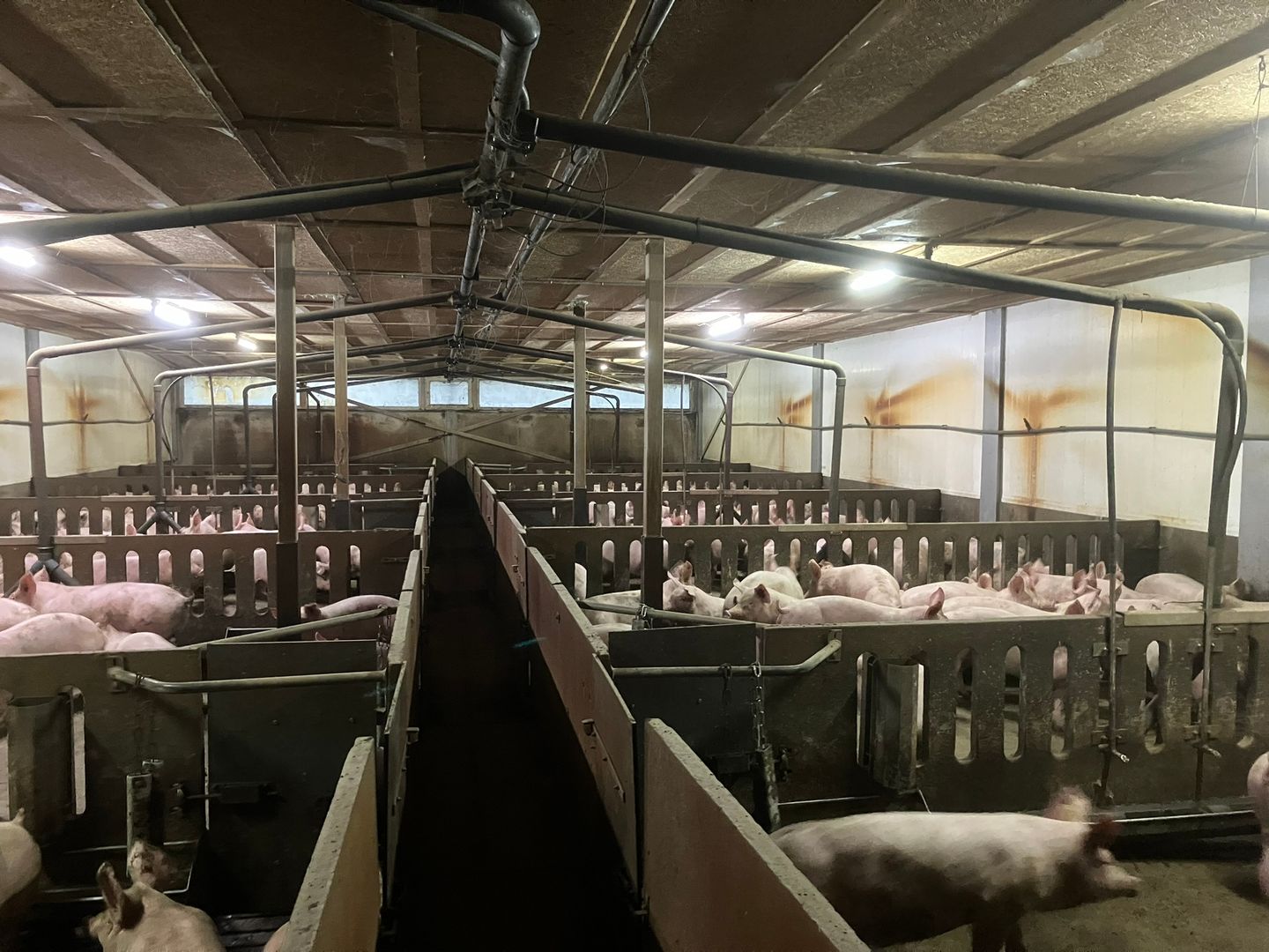 Roosendaalsebaan 14 - Achtmaal - Afbeelding 7