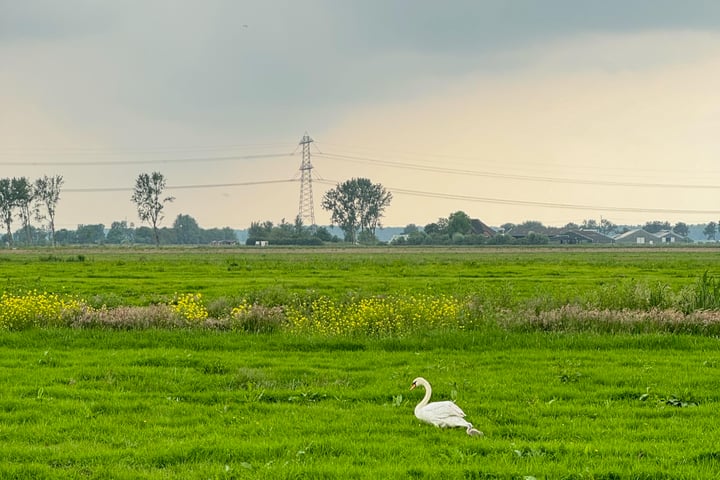 Bekijk foto 42 van Genieweg 28