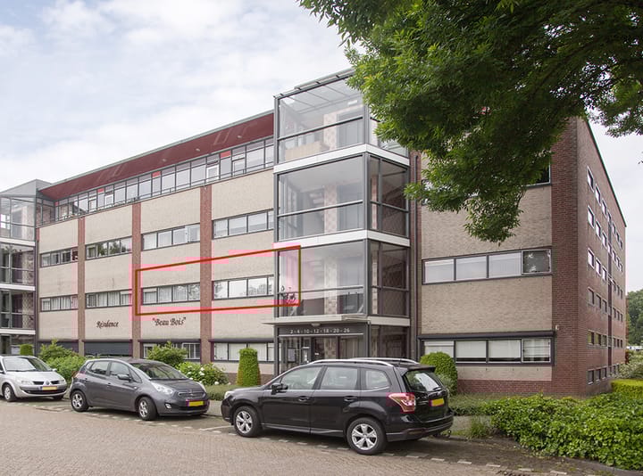 Foto 1 van Aalscholver 12