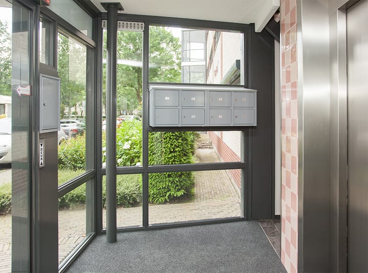 Foto 4 van Aalscholver 12