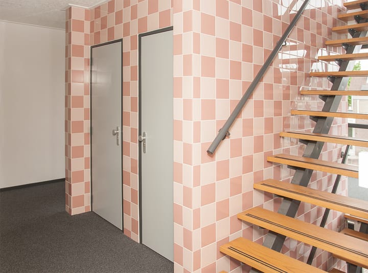 Foto 6 van Aalscholver 12