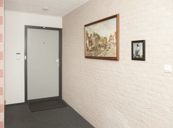 Foto 7 van Aalscholver 12