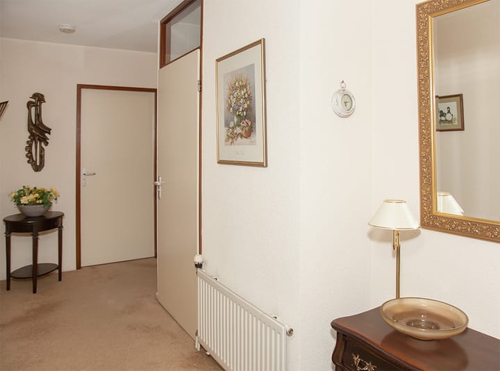 Foto 8 van Aalscholver 12