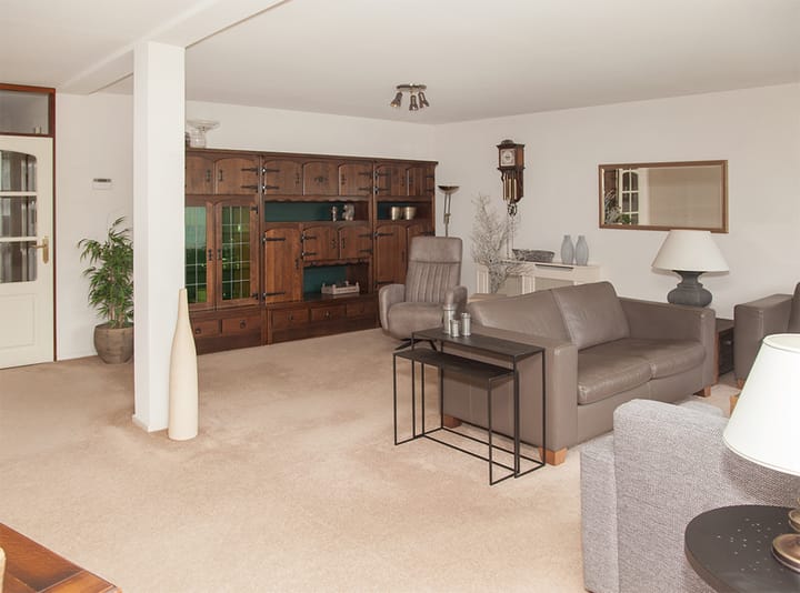 Foto 10 van Aalscholver 12