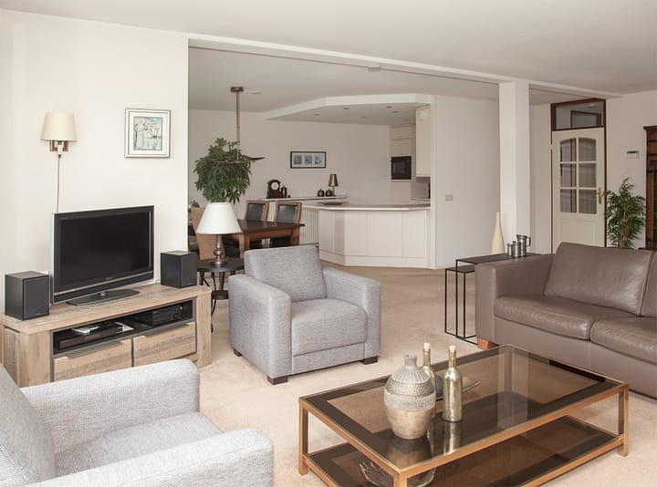 Foto 12 van Aalscholver 12