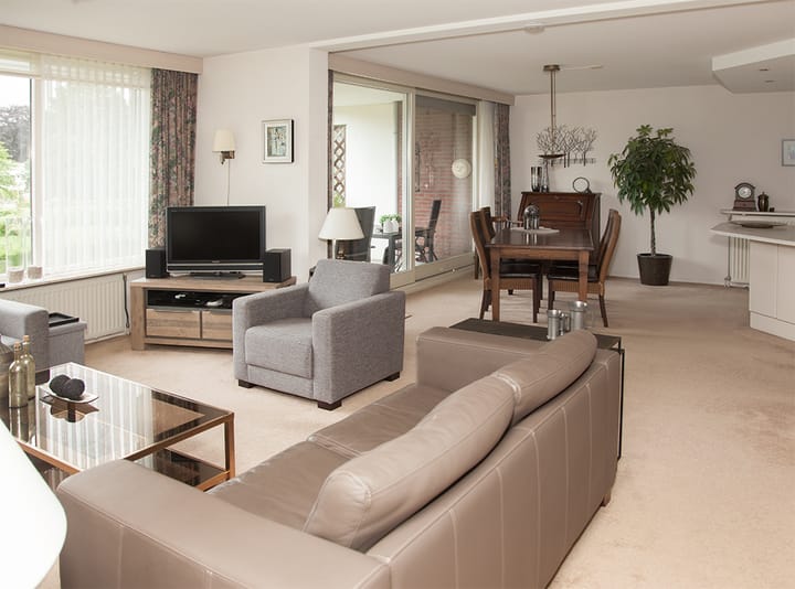 Foto 13 van Aalscholver 12