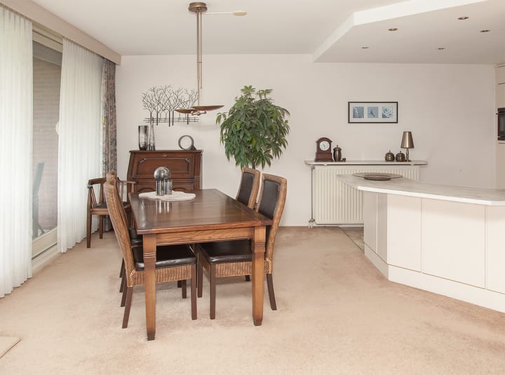 Foto 15 van Aalscholver 12