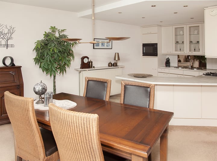 Foto 16 van Aalscholver 12