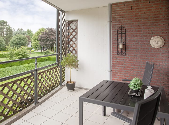 Foto 21 van Aalscholver 12