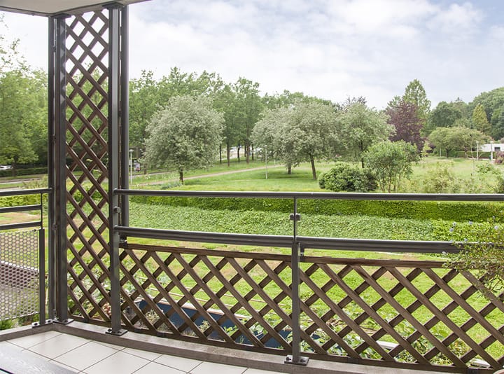 Foto 24 van Aalscholver 12