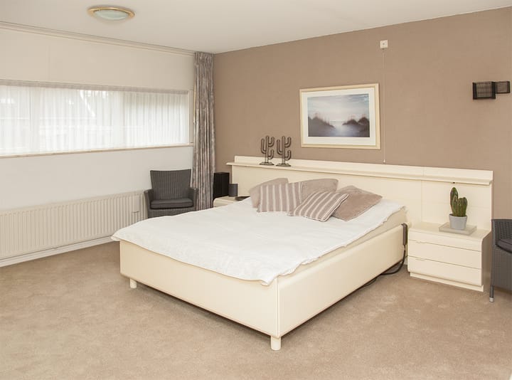 Foto 25 van Aalscholver 12