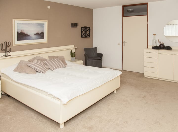 Foto 26 van Aalscholver 12