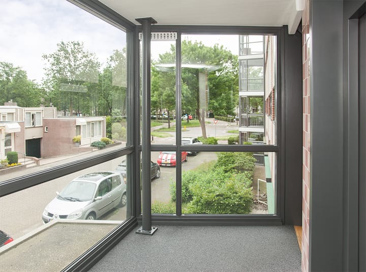 Foto 5 van Aalscholver 12