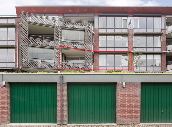 Foto 37 van Aalscholver 12