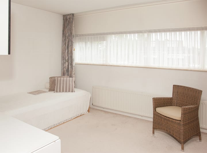 Foto 31 van Aalscholver 12