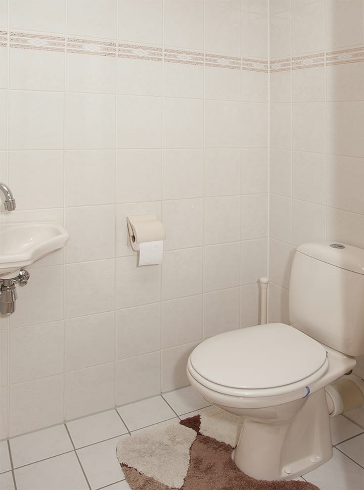 Foto 34 van Aalscholver 12