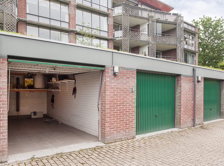 Foto 38 van Aalscholver 12